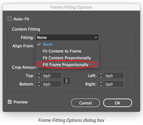 Fill Frame Proportionally Indesign How to make perfect Square in Adobe InDesign